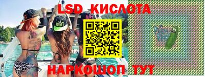 гашик Кингисепп