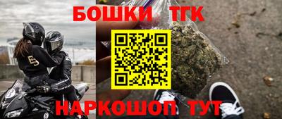 гашик Кингисепп